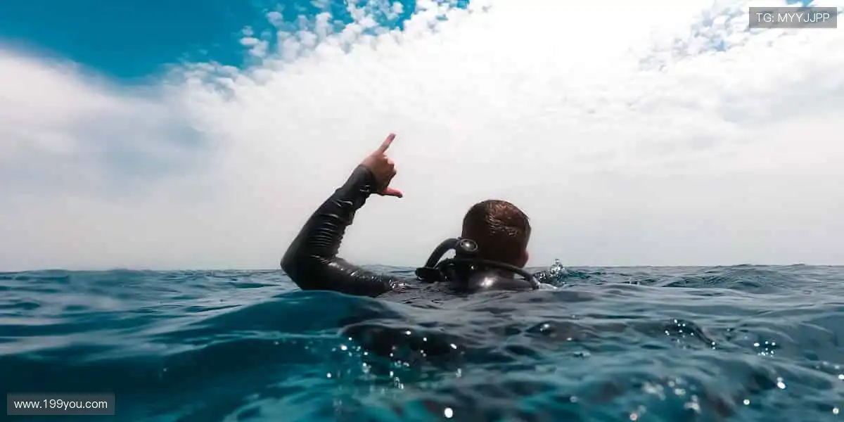 💻🎯 无插件直播，画质堪比现场！